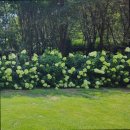 살롱 드 방동 이미지