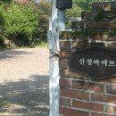 산청바이브 이미지