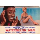 Watermelon Man(Herbie Hancock) 이미지