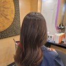 효민2호 이미지