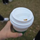 🏃‍♀️미국 해외 마라톤 대회 후기 │미국 텍사스 Statesman Cap10k 2025 │ 첫 해외 마라톤, 10k 기록...