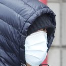 강남게이트볼장 중앙일보