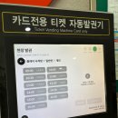 나주 가볼만한곳 | 도파민 터졌던 전라남도 국제사격장 클레이사격 후기