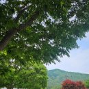 로맨틱533펜션&캠프 이미지