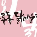닭 매운탕이랑 이미지