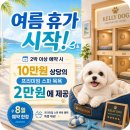 무민네 애견돌봄호텔 | 압구정애견호텔 믿을만한 곳 켈리독 강남점 장기숙박 솔직 후기