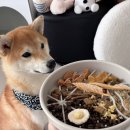 피너클파트너스 | 강아지 건강하게 맛있게 밥꾸 잘먹는 주식 사료 화식 습식 퓨레 스튜 동결건조 패티