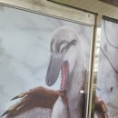 덕소자연사박물관 | 남양주 놀거리 덕소 자연사 박물관 견학 후기