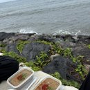 도희목장 | 202509 제주여행 -1