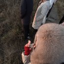 오랑대 | 2026년 첫 해맞이 성공! 부산 기장 오랑대 일출 후기 (+주차 정보)