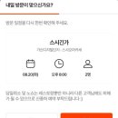 스시긴가