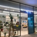 오송우리약국 이미지