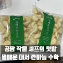 공팜으로 수확완료한 셰프의 텃밭 덜매운 대서 깐마늘 받은 후기