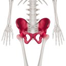 생생마취통증의학과의원 이미지