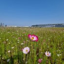 금강보행교 6 이미지