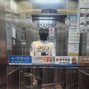 중앙주유소사거리 페달로옆 | 20250511_대전서울_신규국토종주자전거길
