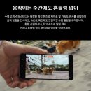 삼성갤럭시 s26플러스 최종혜택가 98만원 구매 방법, 삼성 페스타 마지막날 빅 세일