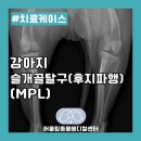 어울림동물메디컬센터 이미지