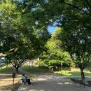 한국세라믹기술원 이공계 연수 후기