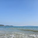 완도해금펜션 | 2024 추석 Day2 영암/완도여행- 무화과마을/달뜬콩두부/완도해금펜션/명사십리해수욕장/완도타워/상화식당