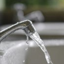 럭키피시 이미지