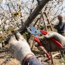 병기농장 이미지