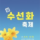 2025년 섬 수선화축제 이미지