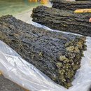 삼신상회 이미지