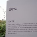 시원한바람 이미지