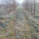 옥산2농장 이미지