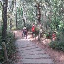 수향주유소 이미지