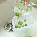 에벤에셀봉투 이미지