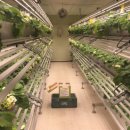 동은농장 이미지