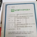 함평천지 특산품 미니단호박 파라요 이미지