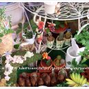 준플라워 이미지