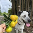 호박여관 이미지