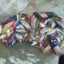 대동 낚시터 이미지