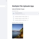 Multiple File Uploads App 이미지