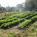 동승당구장 이미지