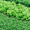 은평농장 이미지