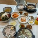 술짜리 | 덱스콤 술 마셨을 때 혈당 변화 및 10일 후 제거 후기