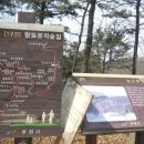 지양산 생태순환길 이미지