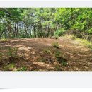 흑암농장 이미지