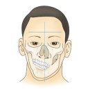 안면 비대칭[Facial asymmetry성형미용, 소아청소년질환, 치과질환] 이미지