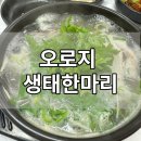 오로지생태한마리 | [오로지 생태한마리] 점심 메뉴로 정말 추천하고 싶은 세종 청사 동태탕 맛집