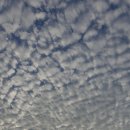 해오름도서관 이미지