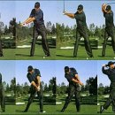 윈체스트컨트리클럽 서산 이미지