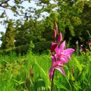 고운향기펜션 이미지