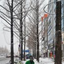 온천2동-1 이미지