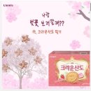 크라운제과 서포터즈 7기 합격 후기